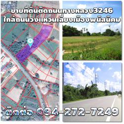  ขายที่ดิน6ไร่2งาน22ตรว.ที่ดินติดถนนพนัสนิคม-เกาะโพธิ์(ทล.3246) ใกล้ถนนวงแหวนเลี่ยงเมืองพนัสนิคม