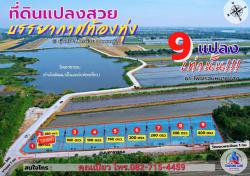 แปลงสวยบรรยากาศทุ่งนา ติดทะเลสาบ อากาศดีมากน่าอยู่อาศัย  บ้านขุนศรี อ.ไทรน้อย จ.นนทบุรี 