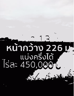 ที่นา 13 ไร่ ๆ ละ 450,000 บาท (โฉนด) หน้ากว้างติดถนน 225 ม.ต.บางไทรป่า อ. บางเลน จ.นครปฐม ห่างสนามบินนานาชาติ เพียง 40 นาที