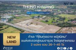 ทำเล "ที่ดินทุ่งขวาง พนัสนิคม" ขนส่งสะดวกสู่ถนนจารุวร ใกล้อุตสาหกรรม 2 แปลง รวม 26-1-45 ไร่
