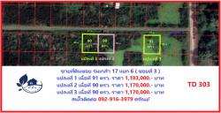 ขายที่ดินซอย ร่มเกล้า 17 แยก 6 เนื้อที่ 90 ตรว. ราคา1,170,000 บาท