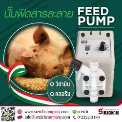 Feed pump ปั๊มฟีดวิตามิน เครื่องเติมสารละลายปรับสภาพน้ำในฟาร์มปศุสัตว์      