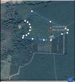 ขายที่ดินพร้อมสวนยาง 25ไร่ มีสระน้ำ บ้านหนองยายหมาด เทศบาล อ.เกาะจันทร์ จ.ชลบุรี โทร 081-658-1142