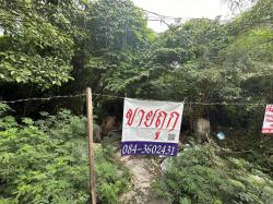 ขายที่ดิน เขตปทุมวัน กรุงเทพมหานคร