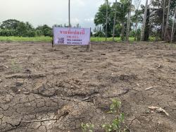 ขายที่ดินติดถนนซอยไอยรา 100 ตรว. คลอง 12 หนองเสือ ปทุมธานี