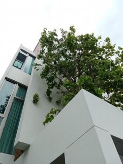 ขายบ้านเดี่ยว 3 ชั้น 80 ตรว. โครงการวีเว่ พระราม 9 VIVE Rama 9 ถนนกรุงเทพกรีฑา ใกล้ Brighton College  