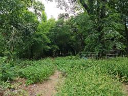 ที่ดินพร้อมสิ่งปลูกสร้าง 21-0-75 ไร่ ขายต่ำกว่าราคาประเมิน ต.สมอโคน อ.บ้านตาก จ. ตาก