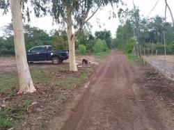 ต่ำกว่าราคาตลาด! ที่ดิน 2-0-0 THB1,400,000 ต.ปะโค, อ.เมือง, จ.หนองคาย