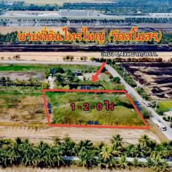 ที่ดิน สร้างโรงงาน ไทรใหญ่ เนื้อที่ 1-2-0 ไร่ วัดสโมสร บางบัวทอง-สุพรรณบุรี นบ. 5031 ทำเลดี เพียงตารางวาละ 6000บาท