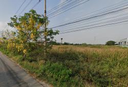 ✅ขายที่ดิน 29ไร่ พื้นที่สีม่วง หน้ากว้าง 82ม. ถนน3004 ไทรน้อย-ลาดบัวหลวง ตำบล ไทรใหญ่ อำเภอไทรน้อย นนทบุรี  