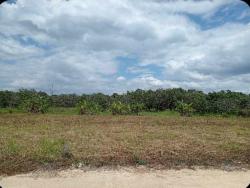 ขายที่ดินสวย ใกล้เมือง เดินทางสะดวก สาธารณูปโภคครบ อ.หางดง  จ.เชียงใหม่