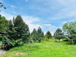 ที่ดินมีสิ่งปลูกสร้างเป็นร้านอาหารและบ้านพักพนักงาน 5 ห้อง ต.ท่าช้าง อ.เมืองจันทบุรี จ.จันทบุรี