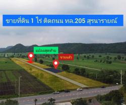 ขายที่ดินแบ่งขาย อ.โคกสำโรง จ.ลพบุรี ติดถนนหลวง  สุรนารายณ์ 205 