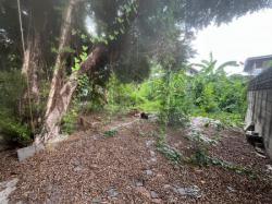 ขาย  พลัม คอนโด บางใหญ่ สเตชั่น ใกล้ รถไฟฟ้าสายสีม่วง สถานีคลองบางไผ่ และ ใกล้ เซ็นทรัล เวสท์เกต