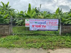 ขายที่ดินเปล่า 1-3-55 ไร่ ที่ดินสวยถมแล้ว ล้อมรั้วคอนกรีตพร้อมประตูเหล็ก บ้านหนองคึก ต.บัวสลี อ.แม่ลาว จ.เชียงราย