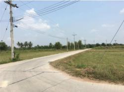 ขายที่ดิน 17 ไร่ ต.หนองขยาด อ.พนัสนิคม จ.ชลบุรี
