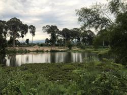 ที่ดิน ทำเลทอง   หลังติดคลอง  หน้าแปลงติดถนนใหญ่  3222  ราคานี้ไม่เเพง  