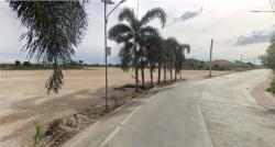 ขายที่ดิน 15 ไร่ ผังสีม่วงเข้ม บางนา-ตราด กม.23 ต.ศรีษะจรเข้ใหญ่ อ.บางเสาธง จ.สมุทรปราการ