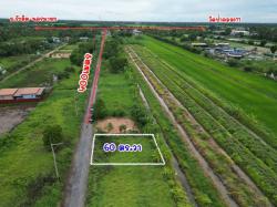 ขายที่ดินคลองสิบเอ็ด หนองเสือ น้ำและไฟฟ้ามีพร้อม ขนาด 60 ตรว.