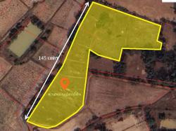 ขายที่ดินรวม  4-0-53.9 ไร่ (2 แปลงติดกัน)  อ.เหล่าเสือโก้ก จ.อุบลราชธานี