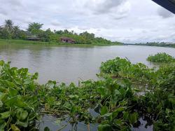 ขายที่แปลงสวย 2ไร่เศษ ติดแม่น้ำนครชัยศรี ย่านตลาดน้ำดอนหวาย สามพราน นครปฐม