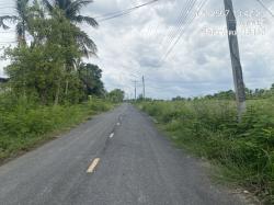 ขายที่ดิน 3 ไร่ 3 งาน 64 ตรว ใกล้เขื่อนป่าสักชลสิทธิ จ.ลพบุรี ติดถนน ราคา 1.7 ล้านบาท