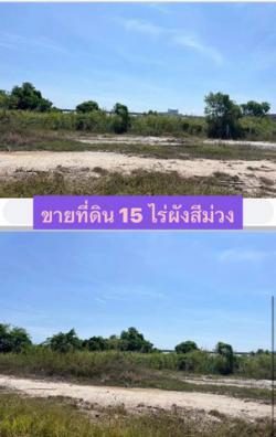 ขายที่ดินแปลงสวย สีมม่วงเข้ม ติดถนน 4 เลนส์ หน้านิคมอมตะชลบุรี  FP-L0212