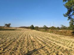 ขายที่ดินแม่น้ำคู่ นิคมพัฒนา   บนเนื้อที่  83-0-44 ไร่ พื้นที่สีเหลือง eec