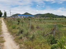 EHH ขายด่วน ที่ดิน อ.เนินขาม ชัยนาท 1ไร่38ตรวา ถูกสุดๆ แค่115000บ วิวเขาสวยๆ