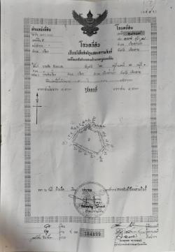 ขายที่นา เนื้อที่ 9-1-85 ตร.ว.