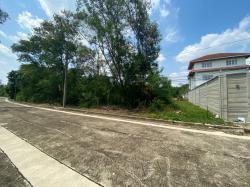 ขายที่ดินเปล่า 125.4 ตร.ว. (2 แปลงรวม) – ทำเลดีในหมู่บ้านชัยพฤกษ์ บางบัวทอง