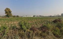 ขายที่ดินเปล่าติดถนนมิตรภาพขอนแก่น-กรุงเทพฯ ทำเลสวย เหมาะทำโรงงาน  ขอนแก่น