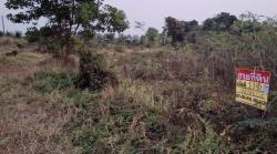 ขายที่ดิน 1-1-65 ไร่ ซ.บุญมีอุทิศ  ใกล้โรงเรียนอนุบาลศรีเชียงใหม่ หนองคาย  ZP168 