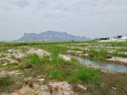 ขายเท่าราคาประเมิน ที่ดินเปล่า วิวภูเขา ใกล้หาดชะอำ เนื้อทึ่ 16-1-84 ไร่ ถนนเพชรเกษม ตำบลชะอำ อำเภอชะอำ จังหวัดเพชรบุรี