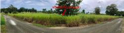 ขายที่ดินว่างเปล่า โครงการสนามกอล์ฟพัทยาคันทรีคลับ ตำบลเขาไม้แก้ว อำเภอบางละมุง ชลบุรี