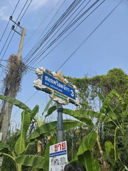 พื้นที่ดิน - 0 RAI 0 NGAN 200 ตารางวา  25000 THB ราคางาม