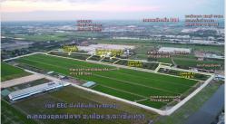 ขายที่ดินเขต EEC ผังม่วงลาย ถมแล้ว 5 ไร่ อ.เมือง ฉะเชิงเทรา เหมาะสร้างโรงงาน