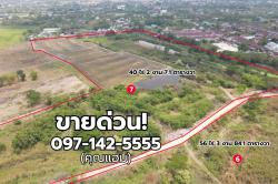ขายที่ดินเปล่า สามโคก  ปทุมธานี  จำนวนหลายแปลง