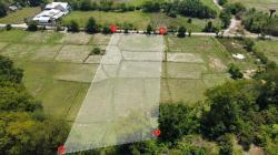 ที่ดินแปลงสวยเงียบสงบขายต่ำกว่าราคาประเมินพิกัดหางดงบรรยากาศดี