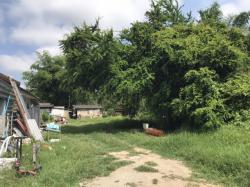 ขายที่ดินแถวบ่อหิน ตำบลสันป่าเปา อำเภอสันทราย จังหวัดเชียงใหม่ เนื้อที่ 94 ตารางวา