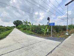 ขายที่ดินเปล่า แปลงสวย ซอยโรงช้อน หนองเสือ ปทุมธานี