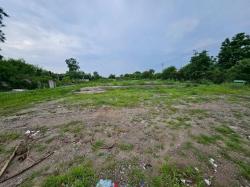 ให้เช่าที่ดินพานทองชลบุรี ที่ดินบ้านเก่าพานทองอมตะชลบุรี ทำเลใกล้อมตะนครเฟส 6 7  8 บนเนื้อที่  4  ไร่