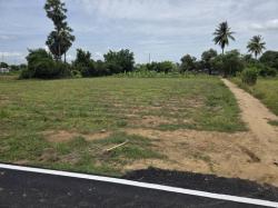 พื้นที่ดิน - ส ว ย กาญจนบุรี   