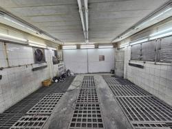 ประกาศขาย อู่ซ่อมรถพ่นสี พร้อมดำเนินการทันที ราคาเพียง 4.5 ล้านบาท เนื้อที่ 80 ตรว. ห้องพ่นสี แท่นดึงตัวถัง จอดรถได้ 10 คัน ทำเลดี