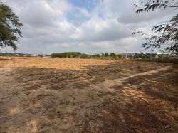 ขายที่ดินนิคมพัฒนาระยอง พื้นที่ 31 ไร่ ผัง สีม่วงลายห่าง WHA RY36 (BYD)ประมาณ 5.8 กม.