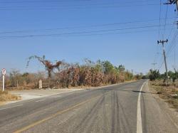 ขายที่ดินพนัสนิคมชลบุรี ผังสีเหลือง  บนเนื้อที่  6 -3 -77 ไร่ที่ดินสวยติดถนนซอยหลัก  (ที่ดินติดถนน 2ด้าน) 