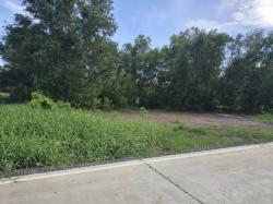 ขายที่ดิน ใกล้วัดธรรมกาย คลองหลวง ปทุมธานี 200 ตร.ว ที่ดินแปลงสวย ทำเลดี ใกล้อบต.คลองสาม