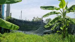 ขายที่ดินท่าข้าม รางโพธิ์ล่าง 378 ตร.ว.ใกล้สวนกุหลาบธนบุรี