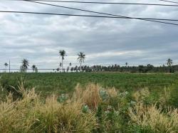 ขายที่ดินเขาไม้แก้ว แปลงสวย ติดถนนเส้น 331 บางละมุง ชลบุรี FP-L0942 