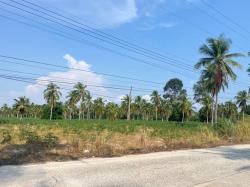 ขายที่ดินบางละมุงชลบุรี ขายที่ดิน - ตะเคียนเตี้ย บนเนื้อที่ 42 ไร่ ทำเลดี เหมาะสำหรับสร้างโรงงาน โกดัง คลังสินค้า ศูนย์กระจายสินค้า